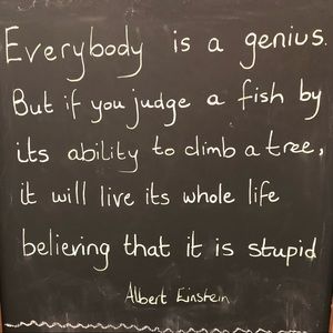 Meet your Posher, Wendy